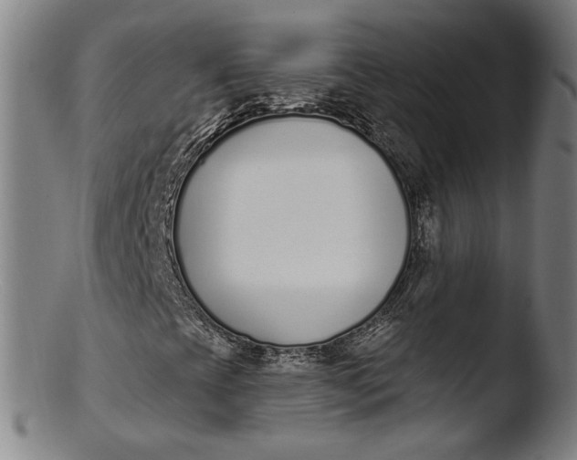 X0000103401393200809261608