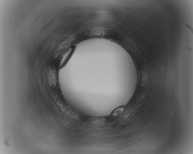 X0000103401394200809261608