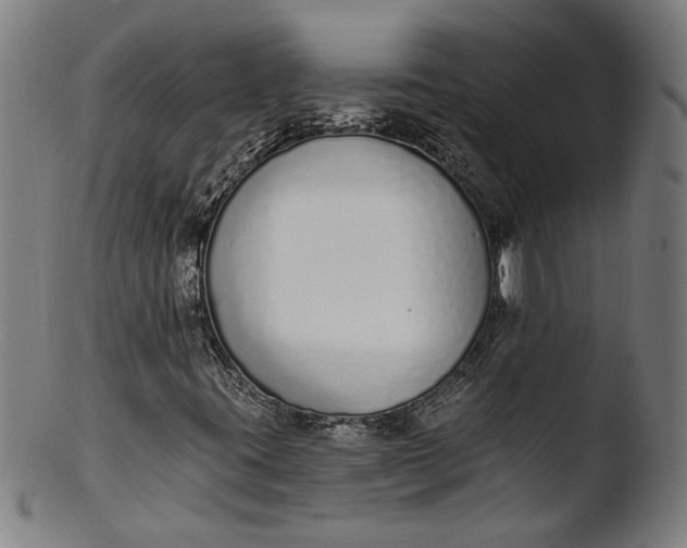 X0000103401395200809261608