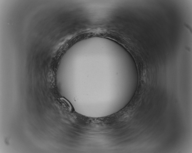 X0000103401398200809261608