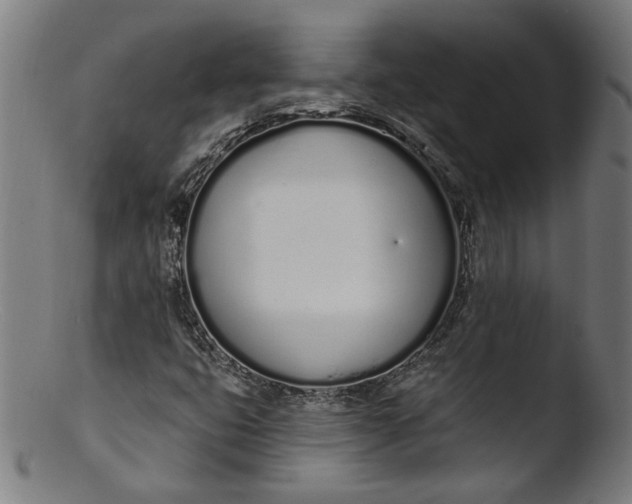 X0000103401399200809261608