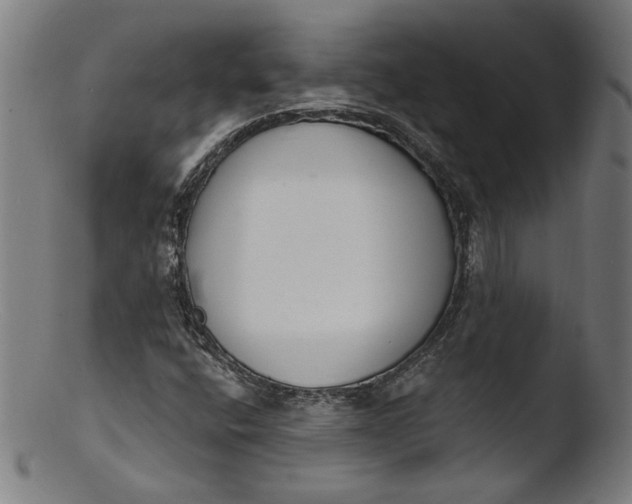 X0000103401400200809261608