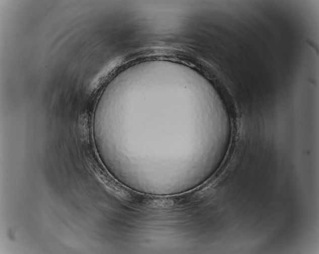 X0000103401403200809261608