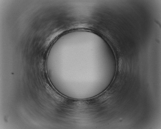 X0000103401404200809261608