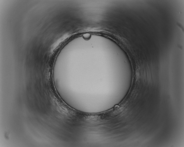 X0000103401406200809261609