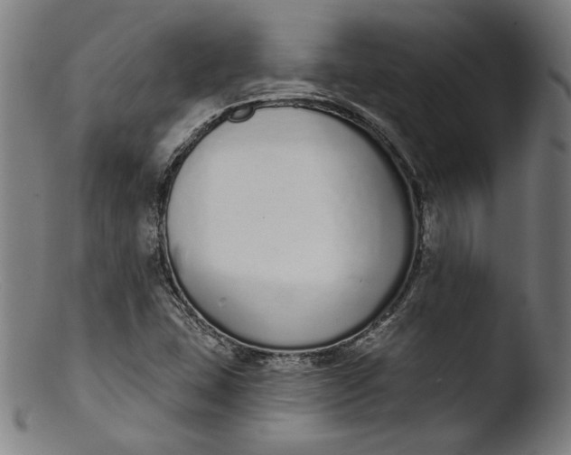 X0000103401407200809261609