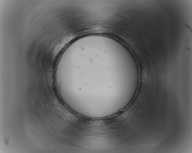 X0000103401410200809261609