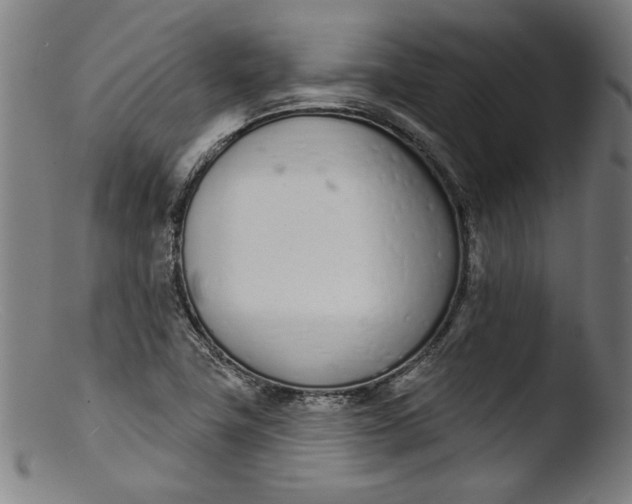 X0000103401411200809261609