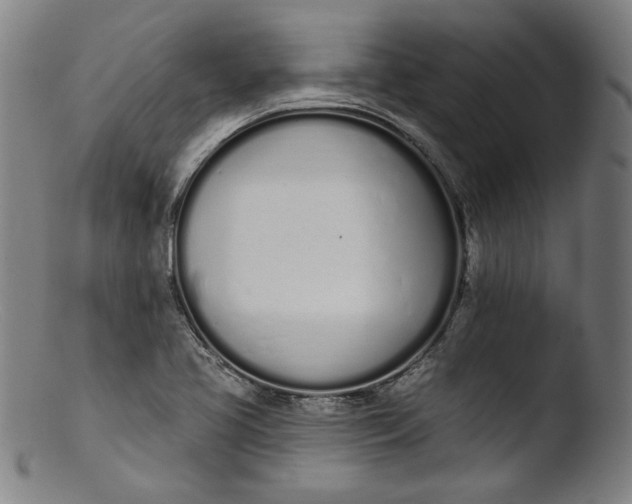 X0000103401413200809261609