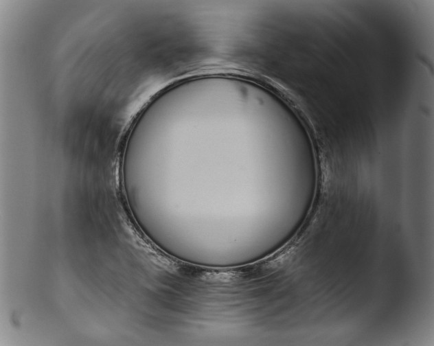 X0000103401415200809261609