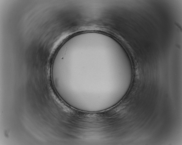 X0000103401416200809261609