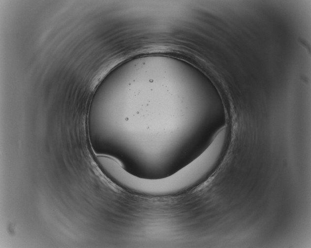 X0000103401417200809261609