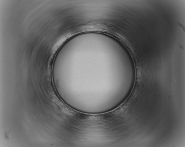 X0000103401419200809261609