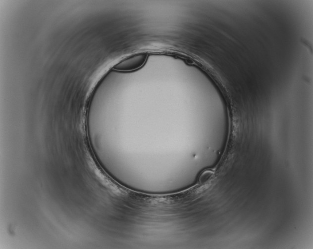 X0000103401421200809261609