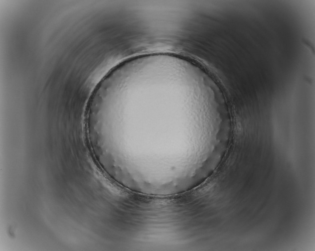 X0000103401423200809261609