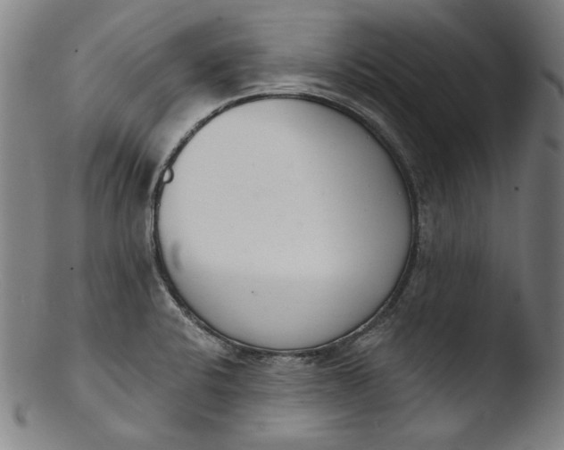 X0000103401424200809261609