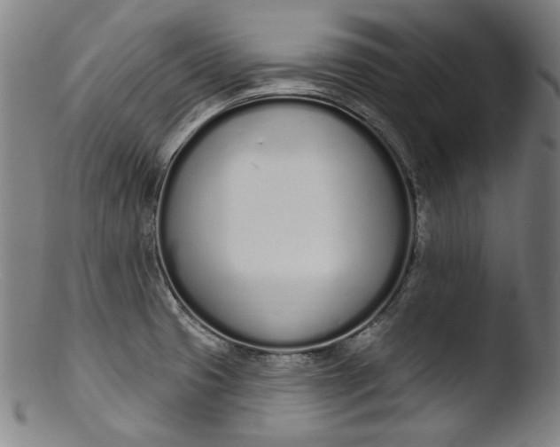 X0000103401425200809261609