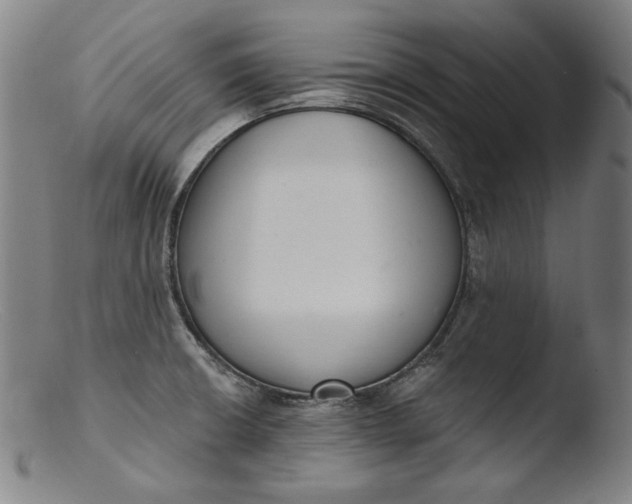 X0000103401426200809261609