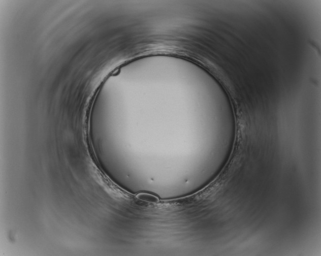 X0000103401427200809261609