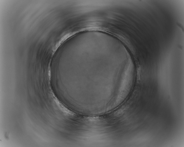 X0000103401428200809261609