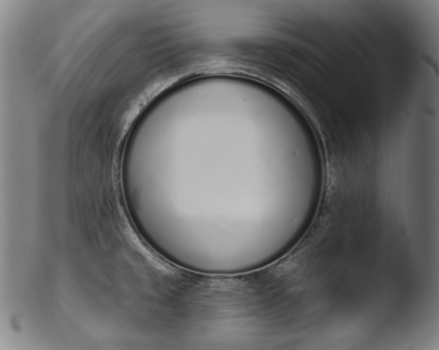 X0000103401429200809261609