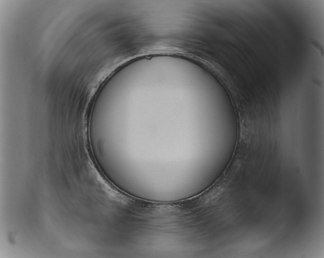 X0000103401430200809261609