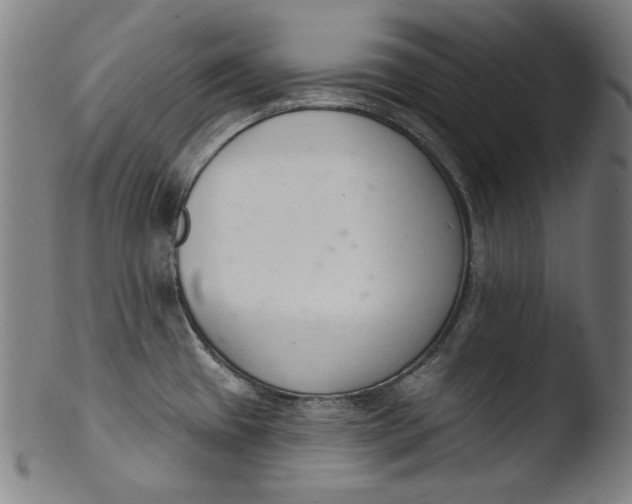 X0000103401433200809261609