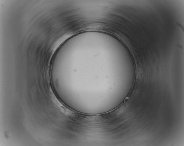 X0000103401434200809261609