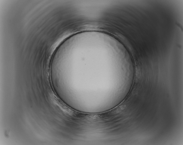 X0000103401435200809261609