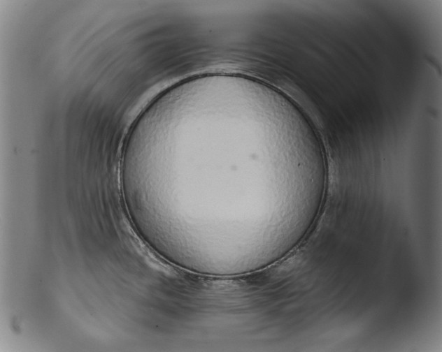 X0000103401436200809261609