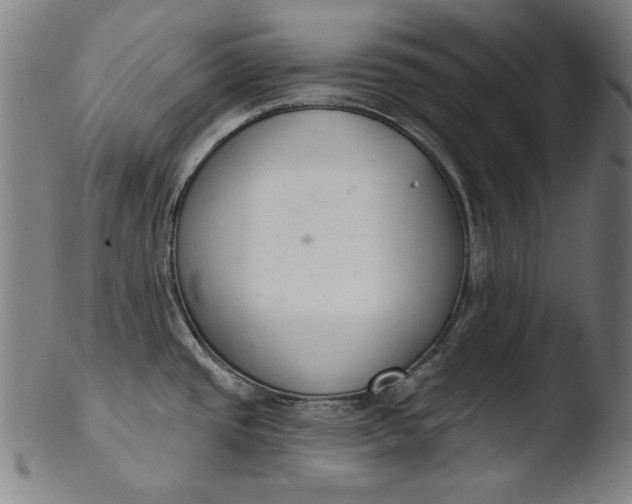 X0000103401437200809261609