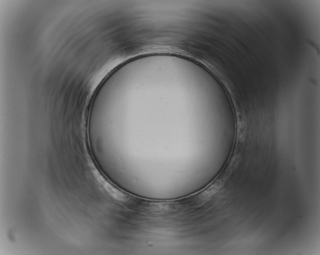 X0000103401438200809261609