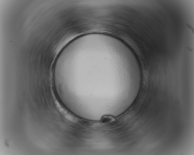 X0000103401439200809261609