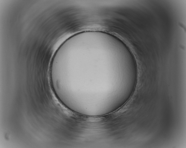 X0000103401440200809261609