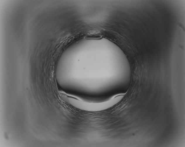 X0000103401441200809261608