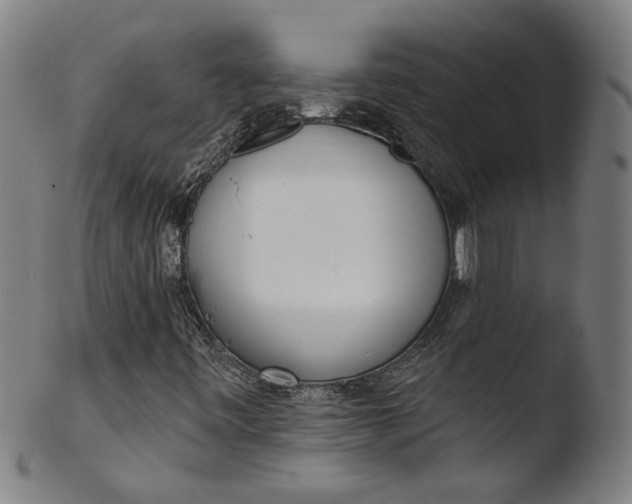 X0000103401443200809261608