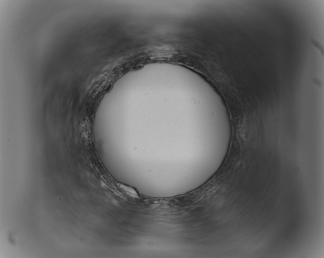 X0000103401445200809261608