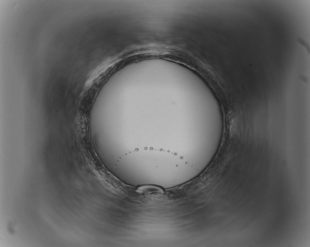 X0000103401448200809261608