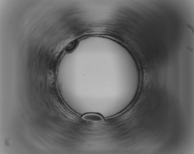 X0000103401449200809261608