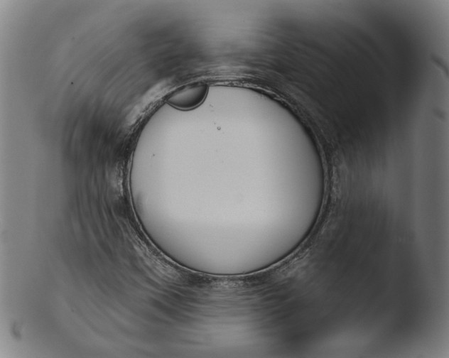 X0000103401451200809261608