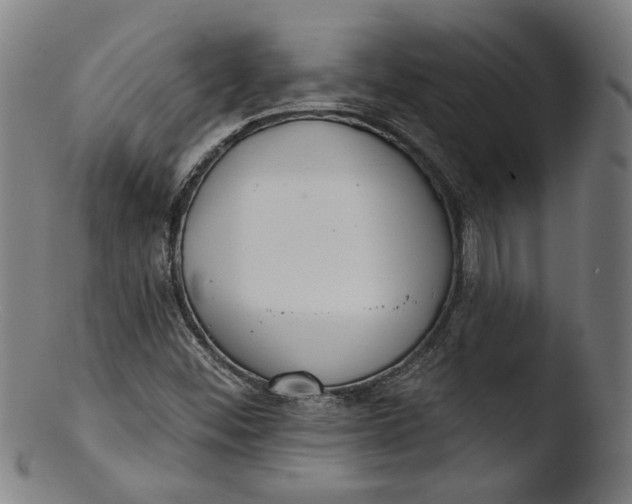 X0000103401452200809261608