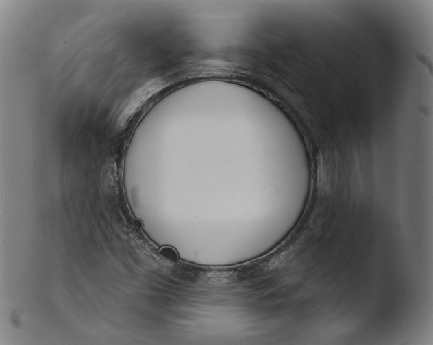 X0000103401453200809261608