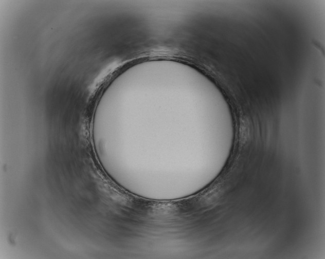 X0000103401454200809261608