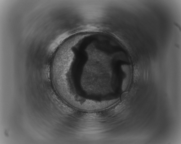 X0000103401455200809261608