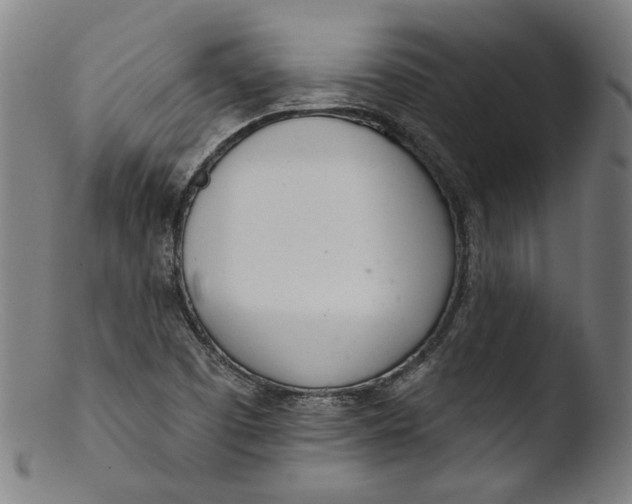 X0000103401457200809261608