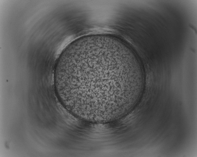 X0000103401459200809261608