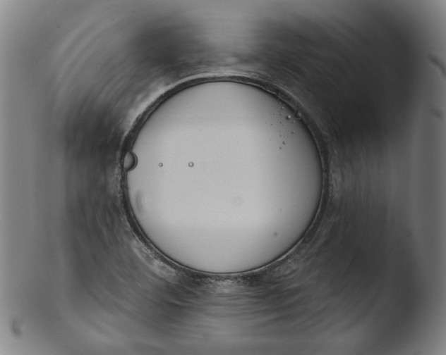 X0000103401460200809261608