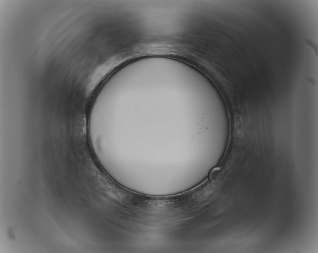 X0000103401461200809261608