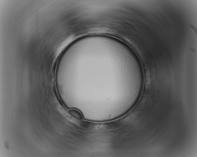 X0000103401467200809261608