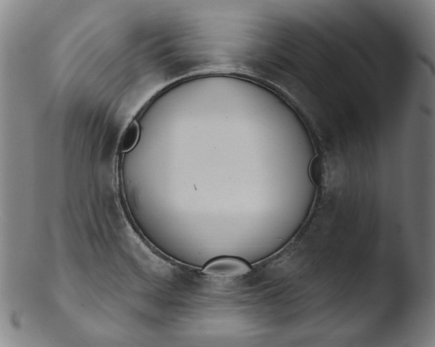 X0000103401468200809261608